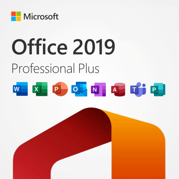 MICROSOFT OFFICE 2019 PRO PLUS