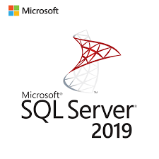 MICROSOFT SQL SERVER 2019 (STANDARD)