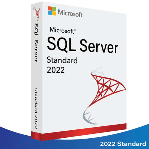 MICROSOFT SQL SERVER 2022 (STANDARD)