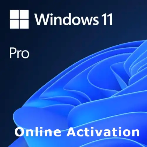 WINDOWS 11 PRO
